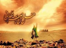 قیام امام حسین(ع)؛‌ معیار تمایز اسلام ناب از اموی