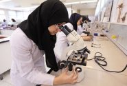 برخلاف تلقی علوم امروز بشری، قلب مرکز فهم انسان است
