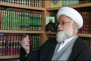 حضرت زهرا(س) تنها مصداق «نساءنا» در آیه مباهله است