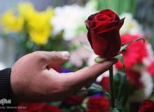 تفاوت بخشندگی با انفعال