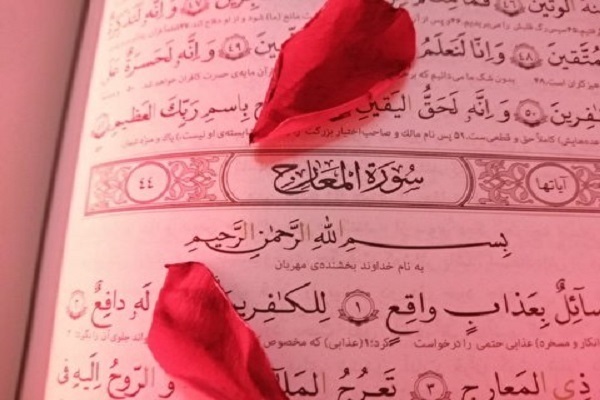 آیا نمی‌دانند که بهشت جای کافران نیست